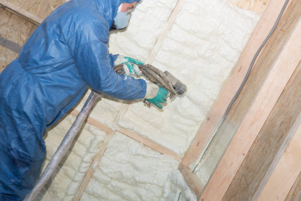 Best Attic Insulation Installation  in Chesapeake, WV